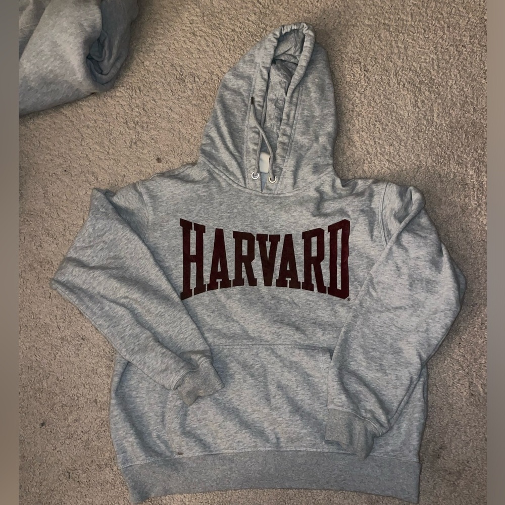 H&M Harvard sweater